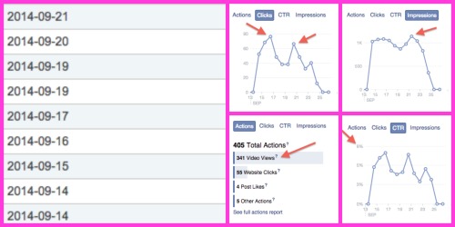 Dubli FB Ads Results